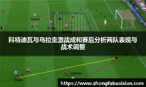 365WM完美体育官网